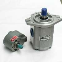 double hydraulic gear pump