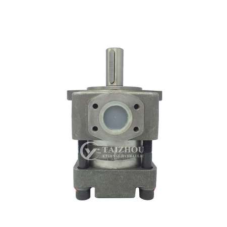 Sumitomo Qt Hydraulic Inner Internal Gear Pump, Injection Moulding Machine Servo System Parts Motor Gear Pump